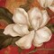 Magnolia on Red II Poster Print by Pamela Gladding - Item # VARPDXGLA537